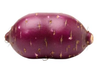Purple yam whole tuber smooth texture isolated white background