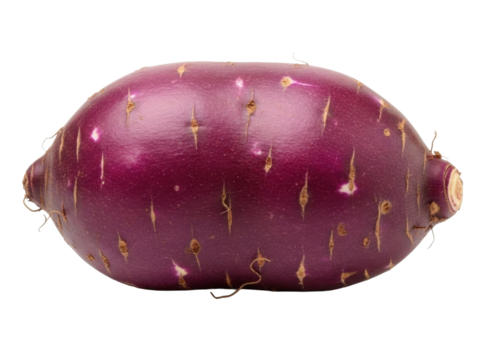 Purple yam whole tuber smooth texture isolated white background
