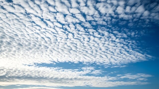 Altocumulus clouds forming a mackerel sky pattern against a deep blue sky