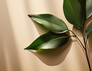 elegant green leaves casting shadows on soft beige background