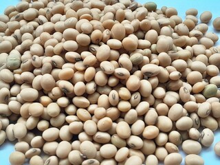pile of soybeans isolated on white background