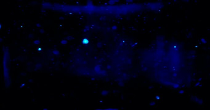 Particles float in water over a dark background, reflecting top light in green and blue hues, creating a glittering, halo-like, cosmic universe effect.