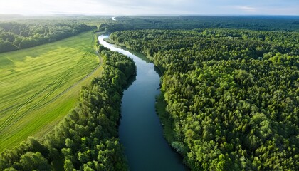 aerial view of a narrow river or lake surrounded by lush green forest