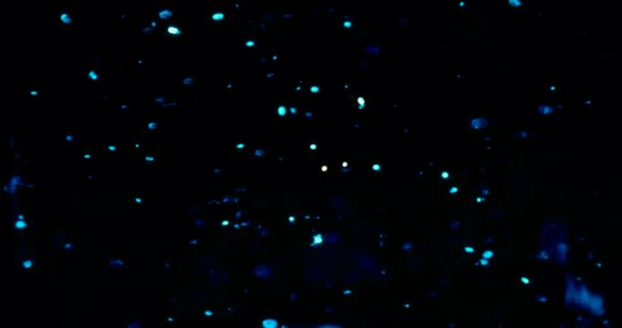 Particles float in water over a dark background, reflecting top light in green and blue hues, creating a glittering, halo-like, cosmic universe effect.
