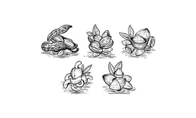 Hand-Drawn Illustration of Peanuts, Cashews, and Almonds