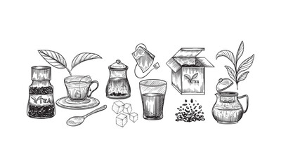 Hand Drawn Illustration of Tea Brewing Supplies
