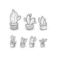 Set of cacti with flowers. Hand drawn Cactus illustration converted to vector