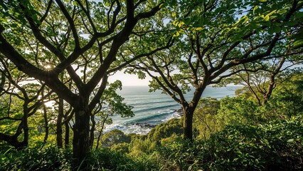 Obraz premium A lush forest scene with trees framing a view of the ocean and waves crashing against rocks, sunlight peeking through the leaves.