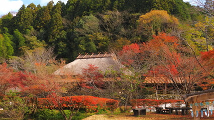 重源の郷（山口県）の紅葉4