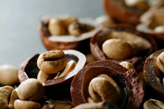 Macro shot of mild roasted coffee beans on hazelnut shell