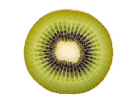 Kiwi peeled ring green uniform circle isolated clean white background