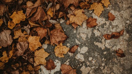 Obraz premium Fallen autumn leaves on concrete surface with scattered dry leaves, seasonal background, nature and outdoor setting.