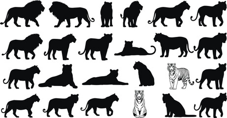 Large collection of lion and tiger silhouettes, black vector animal icons including walking and sitting poses, isolated illustration set for wildlife logo design.