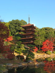 瑠璃光寺（山口県）の紅葉2