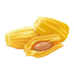 Illustration of peeled jackfruit, isolated on white background.