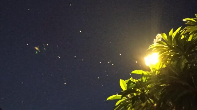 Flying termites swarming around a bright city lamp at night, creating a dramatic and chaotic scene under the dark sky.