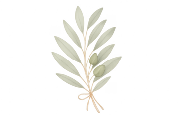 Watercolor olive branch illustration with leaves and fruits