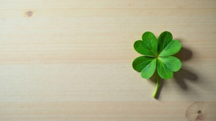 A vibrant green four-leaf clover rests on a light wood surface, offering a symbol of luck and good fortune.