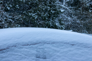 Snow Covered Car Roof in Winter Forest