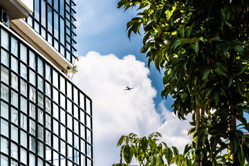 Sky Corridor in Color: Aircraft Framed by Urban Geometry and Foliage
