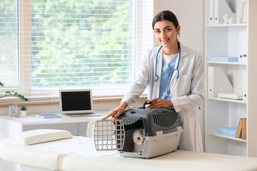 Young female veterinarian with cute Scottish fold cat in pet carrier at vet clinic