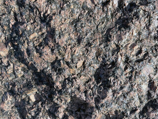 Close-up of a rough, textured rock surface with dark brown and black mineral patterns, showing natural rugged details and uneven formations.