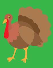 A vector art of a turkey bird. 