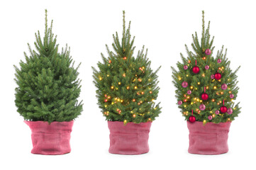 Christmas tree decorating with string lights and festive ornaments. Step by step collage on white background