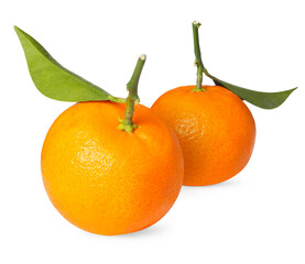 Fresh tangerines with green leaves isolated on white. Citrus fruit