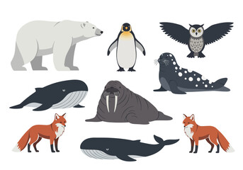 Diverse Collection of Arctic and Antarctic Animals in Flat Design.