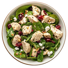 Healthy Spinach Salad with Grilled Chicken, Cranberries, and Goat Cheese in a Bright Bowl on transparent background