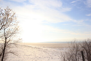 Crisp and Cold Sunrise in the Fog Covered Valley.
