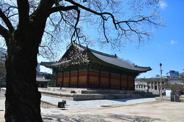 고목 나무가 있는 풍경 