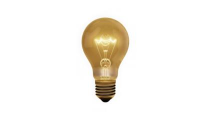 Brightly Lit Incandescent Light Bulb On Black Background
