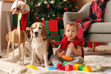 Cute little boy with toys and adorable Beagle dog sitting on blanket in festive living room