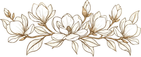  Golden magnolia flowers line vector art isolated on white background. Luxury magnolia floral design vector illustration © MdMasud