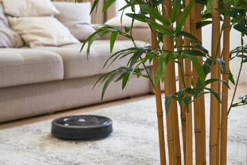 Obraz premium Robotic vacuum cleaner on the floor in cozy modern living room