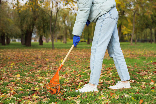 Woman with rake gathering autumn leaves outdoors - Powered by Adobe