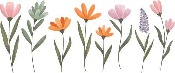 Watercolor floral illustration with pink and orange flowers on white background