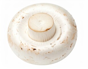 Whole, raw, white button mushroom facing the viewer