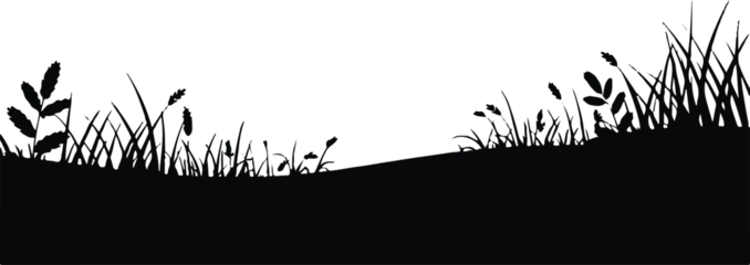 Gardinen Schwarz landscape silhouette with grasses hills and pine trees vector  © AIcon Star