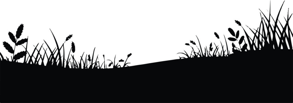 landscape silhouette with grasses hills and pine trees vector