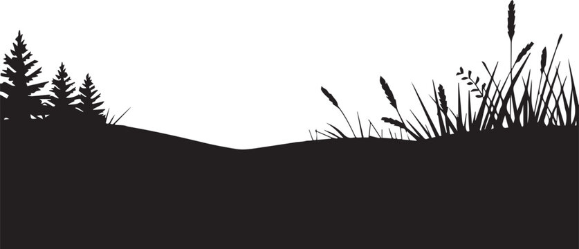 landscape countryside scene with field grass and conifer trees