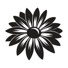 Fototapeta premium Rudbeckia hirta black eyed susan flower natural garden flower botanical vector