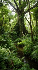 Obraz premium Rainforest Stream Flows Through Lush Jungle Canopy