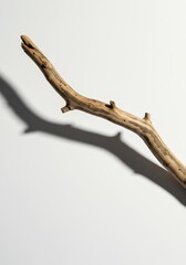 Driftwood lies diagonally a white surface