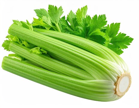 Crisp celery stalks with leafy green tops
