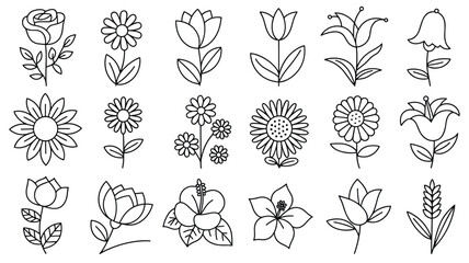 Botanical line art collection of various floral designs for coloring book and design projects