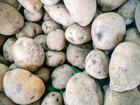 A close-up, high-angle shot of a large pile of fresh, whole, unwashed, light-brown potatoes