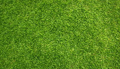 Obraz premium green lawn pattern textured background